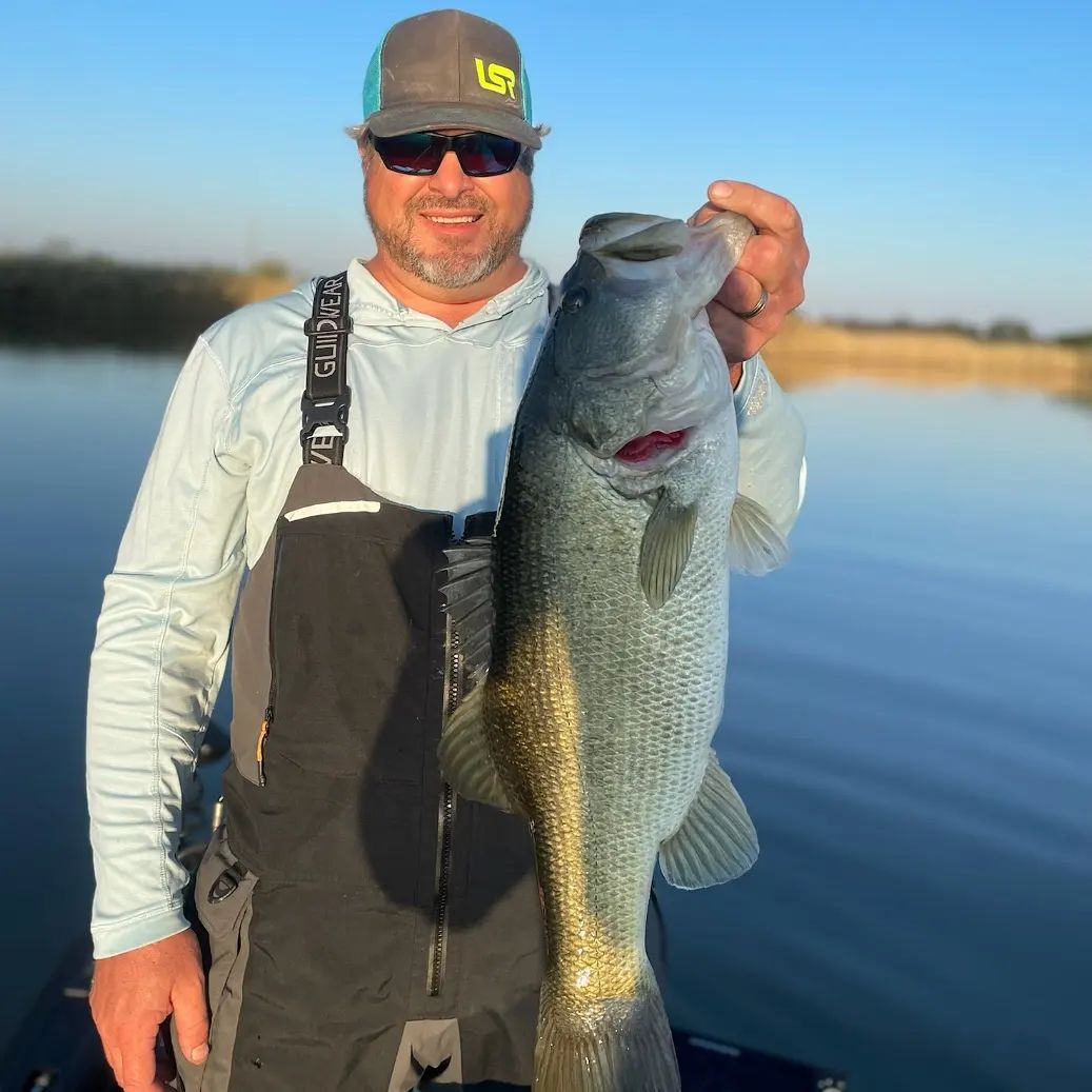 Camelot Bell Trophy Bass Lakes - Bass Fishing Coolidge, Texas 14