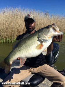 Camelot Bell Trophy Bass Fishing Coolidge, Texas 113