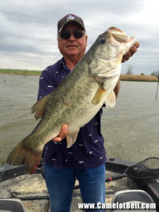 Camelot Bell Trophy Bass Fishing Coolidge, Texas 120