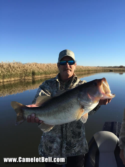 Camelot Bell Trophy Bass Fishing Coolidge, Texas 182